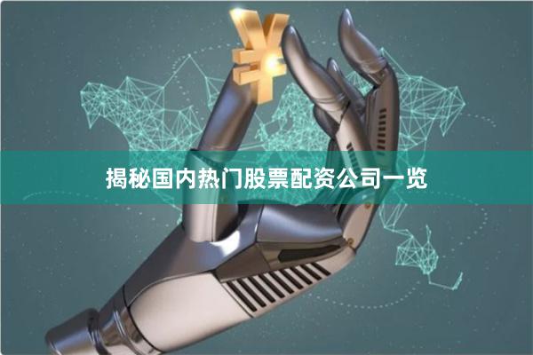 揭秘国内热门股票配资公司一览