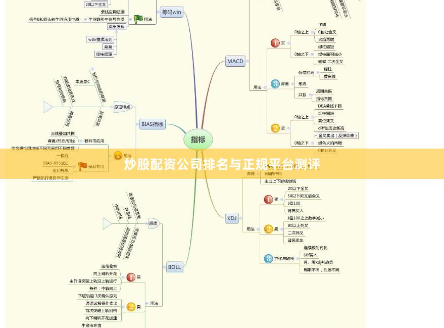 炒股配资公司排名与正规平台测评