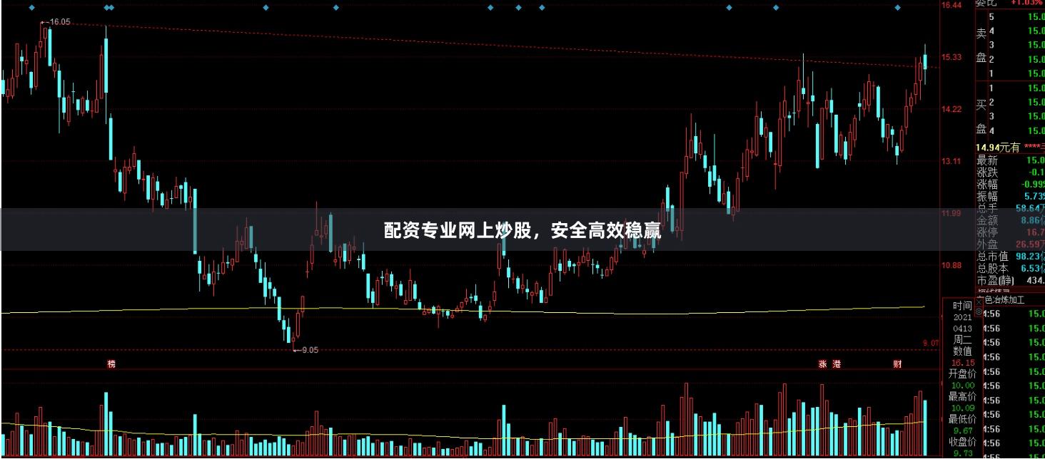 配资专业网上炒股,安全高效稳赢