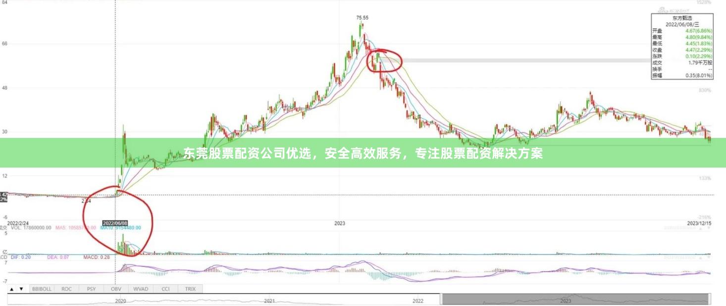 东莞股票配资公司优选，安全高效服务，专注股票配资解决方案