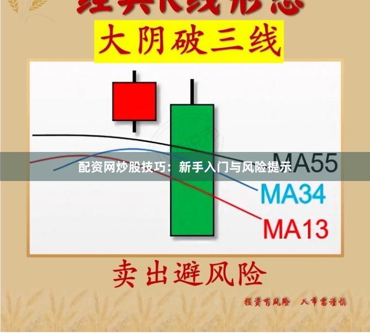 配资网炒股技巧:新手入门与风险提示